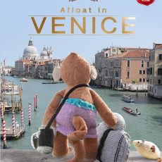 Cover design for the children's book Afloat in Venice by author and illustrator Tina Wilson