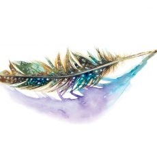 watercolour painting of a feather by artist Tina Wilson
