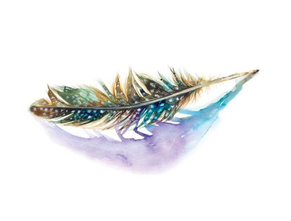 watercolour painting of a feather by artist Tina Wilson