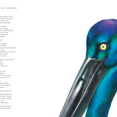 Watercolour illustration of a black necked stork by artist Tina Wilson