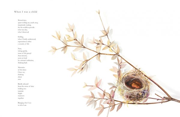 Watercolour illustration of an empty birds nest by artist Tina Wilson